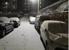 青島！大雪！大愛！