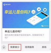騰訊信用分全國公測，查了一下之后懵逼了。。