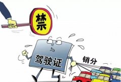 青島的朋友們注意啦，9月起禁止使用他人駕照銷