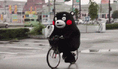 青島也有“共享單車”啦！說騎就騎的旅程GO